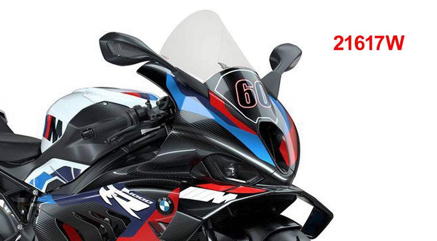 BMW S1000RR (2019- ) Parabrisas R-Racer